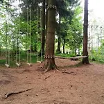 App 507 Bocksbergblick Im Hahnenklee Haus 1 Апартаменты