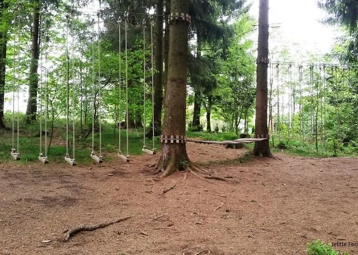 App 507 Bocksbergblick Im Hahnenklee Haus 1 Daire