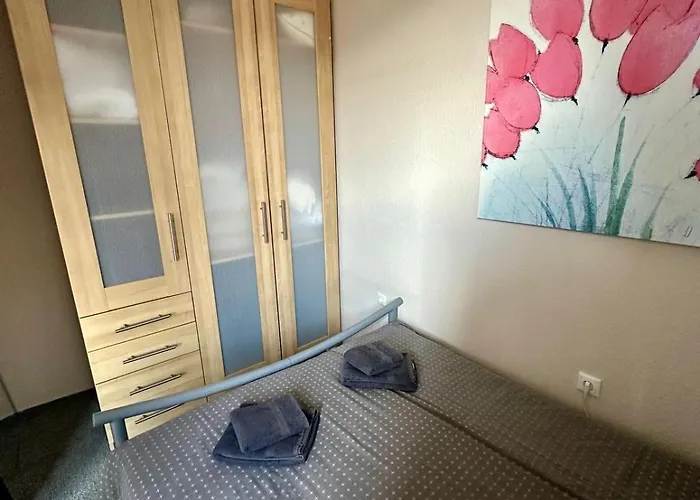 App 507 Bocksbergblick Im Hahnenklee Haus 1 Daire